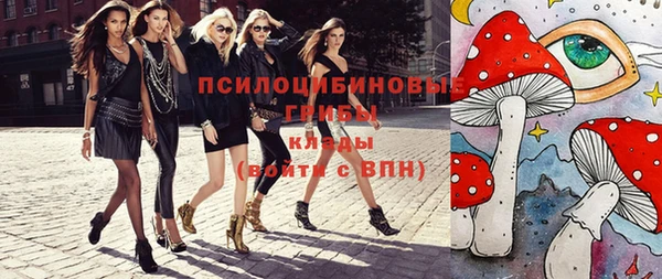 герыч Арсеньев