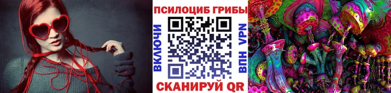 Псилоцибиновые грибы Cubensis цена наркотик Узловая